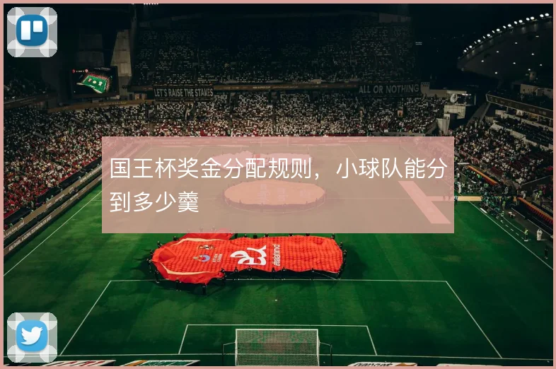 国王杯奖金分配规则，小球队能分到多少羹