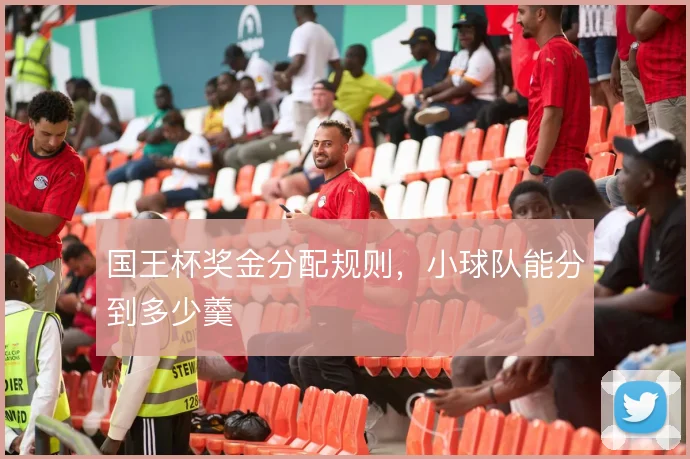国王杯奖金分配规则，小球队能分到多少羹